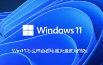 How to check computer traffic usage in Win11