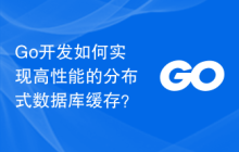 Go开发如何实现高性能的分布式数据库缓存？
