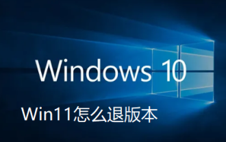 Wie kann ich die Version in Win11 zurücksetzen?