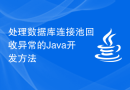处理数据库连接池回收异常的Java开发方法