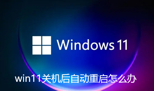 win11关机后自动重启怎么办