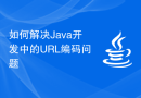 如何解决Java开发中的URL编码问题