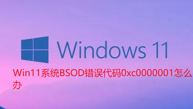 What to do with BSOD error code 0xc0000001 in Win11 system