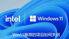 Win11推荐的项目如何关闭