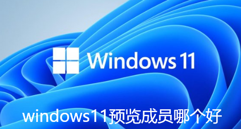 windows11预览成员哪个好