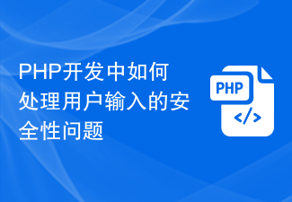 PHP 開発におけるユーザー入力のセキュリティ問題に対処する方法