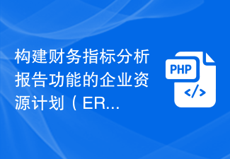 Développement PHP d'un système de planification des ressources d'entreprise (ERP) qui construit des fonctions d'analyse et de reporting d'indicateurs financiers