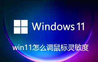 Bagaimana untuk melaraskan sensitiviti tetikus dalam win11