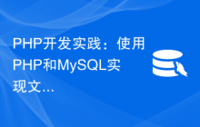 PHP开发实践：使用PHP和MySQL实现文章统计功能