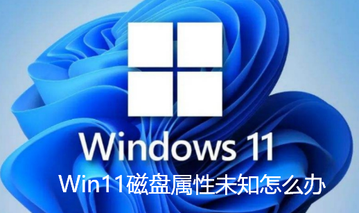 Win11 ディスクのプロパティが不明な場合の対処方法