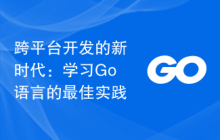 跨平台开发的新时代：学习Go语言的最佳实践