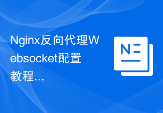 실시간 통신을 달성하기 위한 Nginx 역방향 프록시 Websocket 구성 튜토리얼