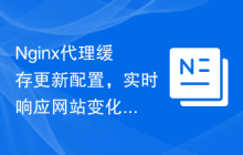 Nginx代理缓存更新配置，实时响应网站变化