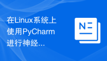 在Linux系统上使用PyCharm进行神经网络开发的配置方法