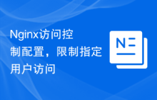 Nginx访问控制配置，限制指定用户访问