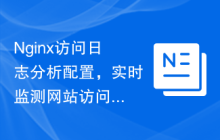 Nginx访问日志分析配置，实时监测网站访问情况