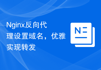 Nginx リバースプロキシはドメイン名を設定し、転送をエレガントに実装します