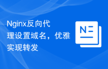 Nginx反向代理设置域名，优雅实现转发