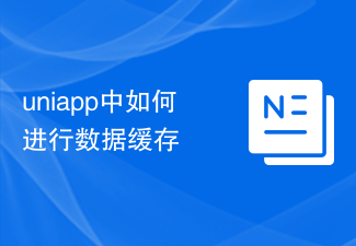 So zwischenspeichern Sie Daten in Uniapp