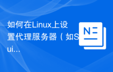 如何在Linux上设置代理服务器(如Squid)