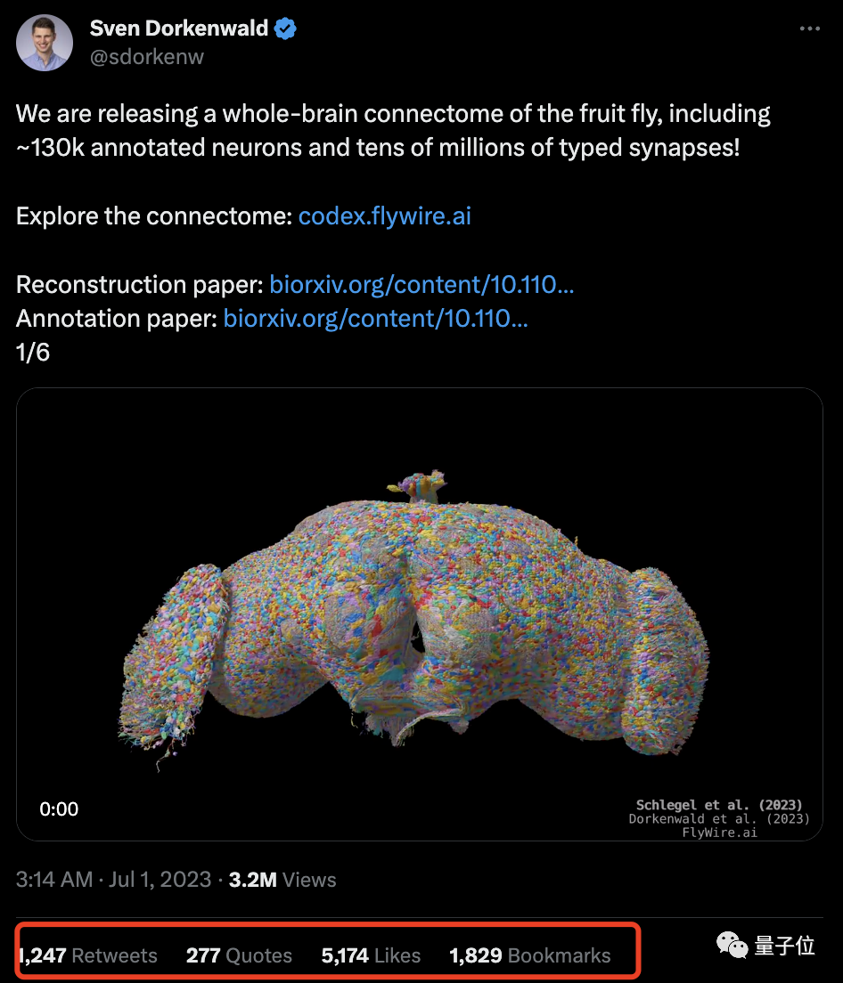 Mouches électroniques des fruits alarme Musk ! Derrière se trouve une carte du cerveau entier de 130 000 neurones, qui peut être exécutée sur un ordinateur.