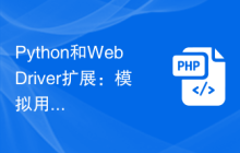 Python和WebDriver扩展：模拟用户在网页上的滚动操作