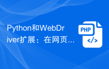 Python和WebDriver扩展：在网页中执行JavaScript代码