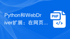 Python 및 WebDriver 확장: 웹 페이지에서 JavaScript 코드 실행