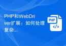 PHP和WebDriver扩展：如何处理复杂的表单提交