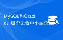 MySQL和Oracle：哪个适合中小型企业？