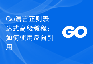 Go 언어의 정규 표현식에 대한 고급 튜토리얼: 역참조를 사용하는 방법