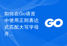 如何在Go语言中使用正则表达式匹配大写字母开头的单词