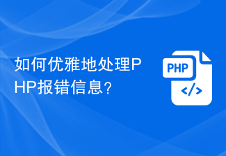 PHP 오류 메시지를 정상적으로 처리하는 방법은 무엇입니까?