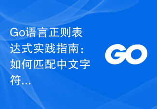 Praktischer Leitfaden zu regulären Ausdrücken in der Go-Sprache: Wie man chinesische Zeichen zuordnet