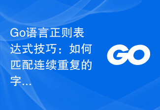 Go语言正则表达式技巧：如何匹配连续重复的字符