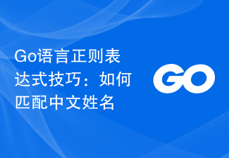 Go 言語の正規表現スキル: 中国語の名前を照合する方法