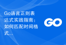 Go语言正则表达式实践指南：如何匹配时间格式