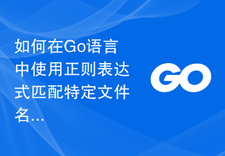 如何在Go语言中使用正则表达式匹配特定文件名格式