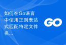 如何在Go语言中使用正则表达式匹配特定文件名格式