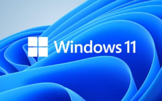 Que dois-je faire si la caméra de mon ordinateur portable Win11 est noire lorsque je l'ouvre ?