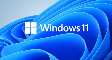 Win11 노트북 카메라를 열었을 때 검은색이면 어떻게 해야 합니까?