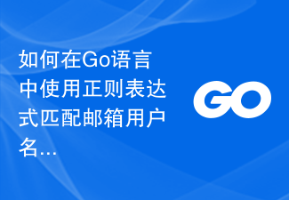 정규식을 사용하여 Go 언어에서 이메일 사용자 이름 부분을 일치시키는 방법