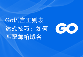 Go語言正規表示式技巧：如何匹配郵件域名