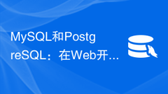 MySQL and PostgreSQL: Best Practices in Web Development