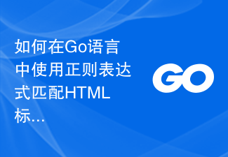 如何在Go語言中使用正規表示式來匹配HTML標籤屬性值