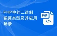 PHP中的二进制数据类型及其应用场景