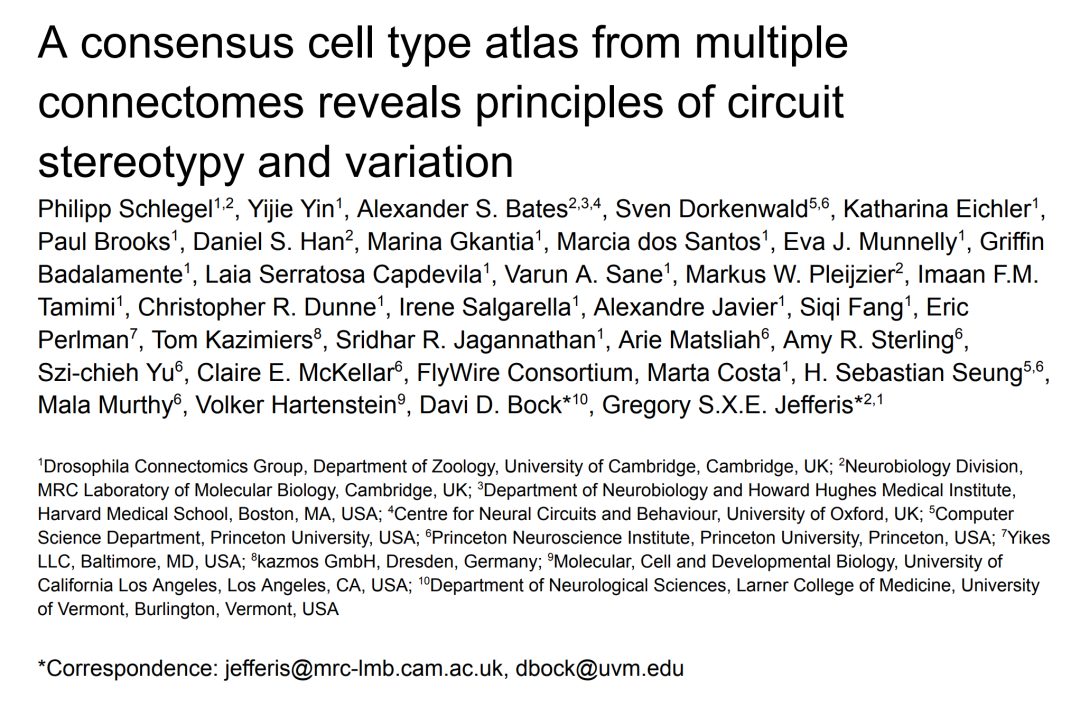 With 130,000 annotated neurons and 53 million synapses, Princeton University and others released the first complete adult fly brain connectome