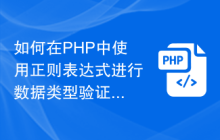 如何在PHP中使用正则表达式进行数据类型验证