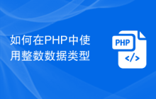 如何在PHP中使用整数数据类型