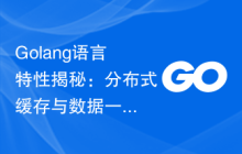 Golang语言特性揭秘：分布式缓存与数据一致性